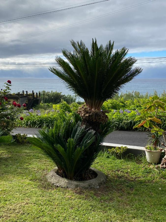 Ocean Garden, 4 Units By The Ocean Apartment Sao Vicente  Ngoại thất bức ảnh