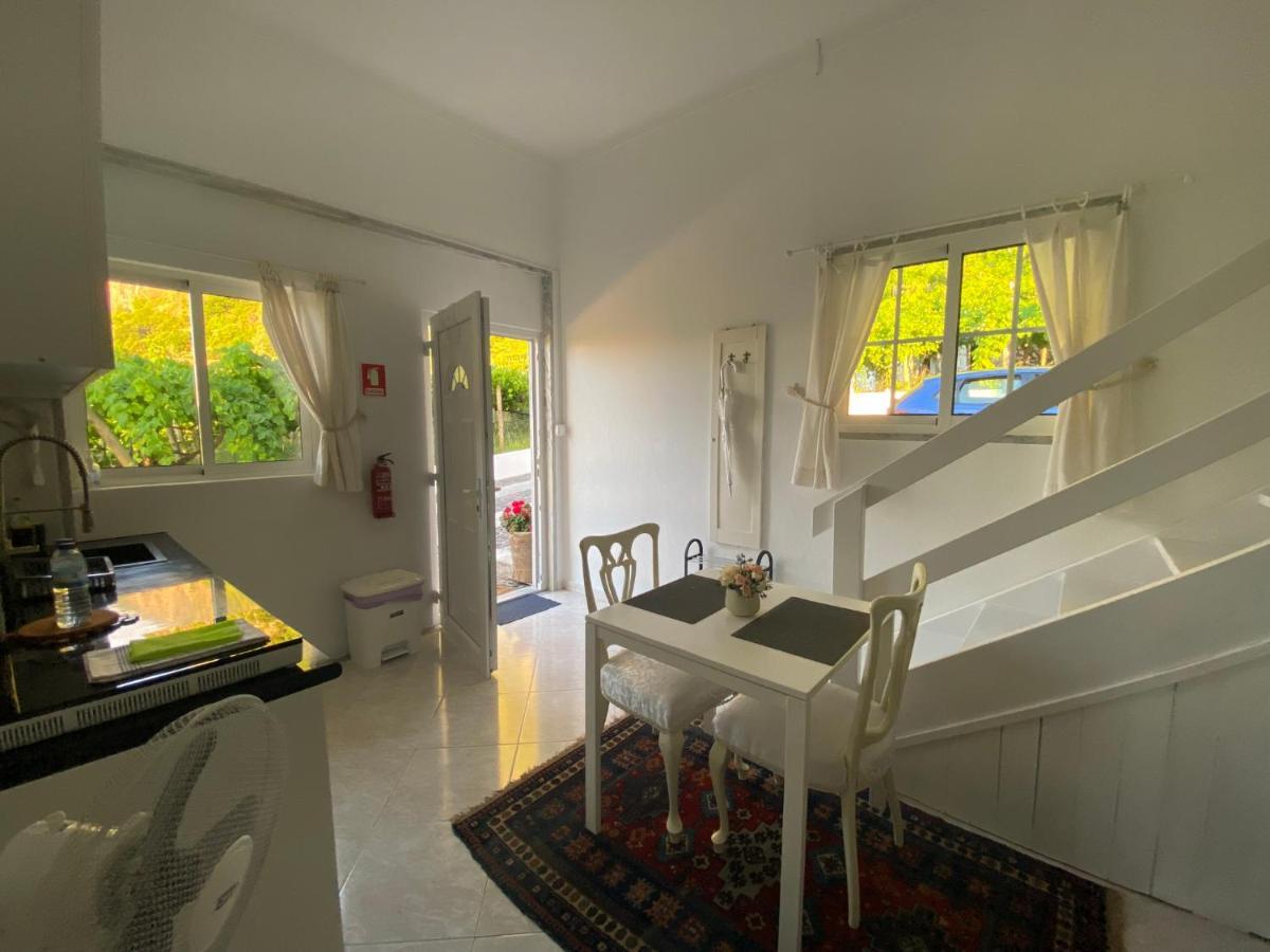 Ocean Garden, 4 Units By The Ocean Apartment Sao Vicente  Ngoại thất bức ảnh