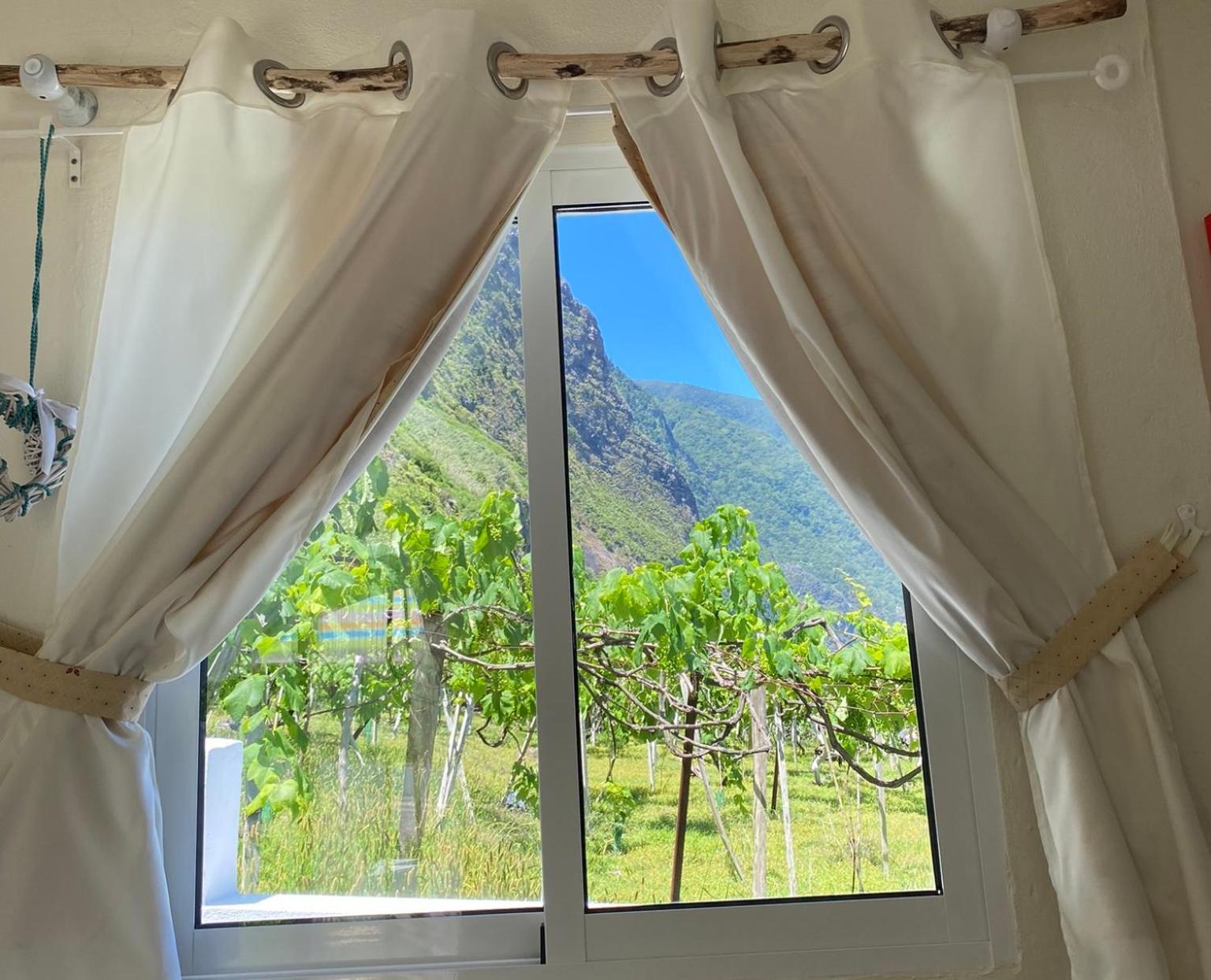 Ocean Garden, 4 Units By The Ocean Apartment Sao Vicente  Ngoại thất bức ảnh